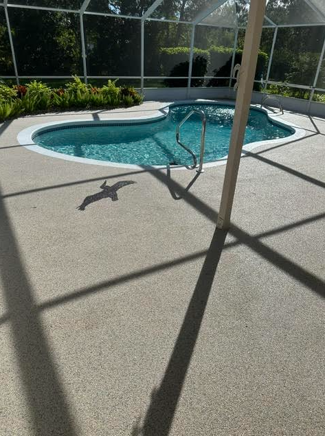 Decorative resin bound stone surface installed by Zebra Coatings